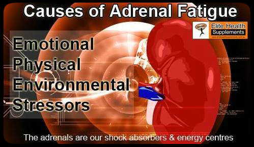 Causes of Adrenal fatigue