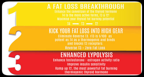 Elite Health Supplements