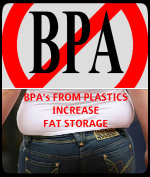 bpas from plastics can increase fat storage