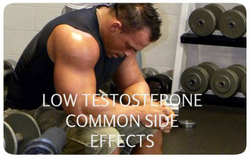 Elite Health Supplements