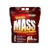 MASS - HARDCORE WEIGHT GAINER - MUSCLE BUILDING PROTEIN BY MUTANT