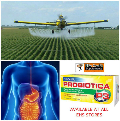 Elite Health Supplements