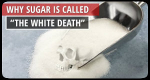 Elite Health Supplements