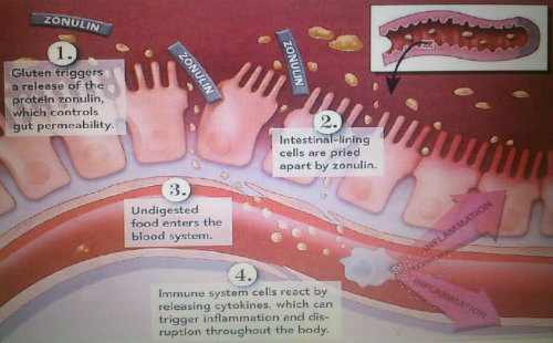 Elite Health Supplements